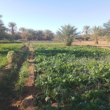 Riad Soleil Du Monde Zagora Exteriör bild